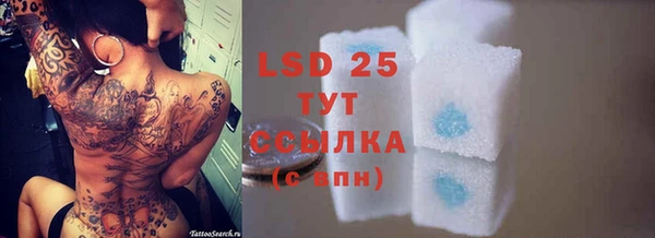 ПСИЛОЦИБИНОВЫЕ ГРИБЫ Ладушкин